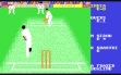 Logo Roms Graham Gooch All Star Cricket [Preview]